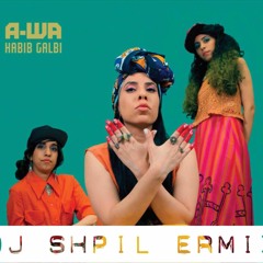 A-WA - Habib Galbi (DJ Shpil official Remix)