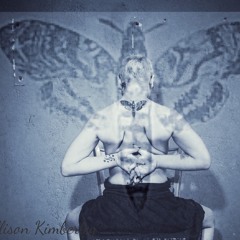 Allison Kim - wall in touch