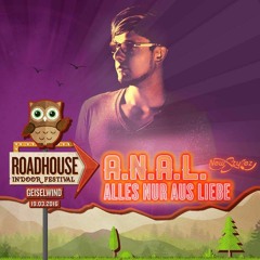 A.N.A.L. @ Roadhouse Festival -Geiselwind- (19.03.2016)