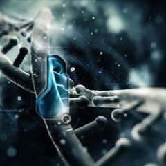 Acide Désoxyribo Nucléique