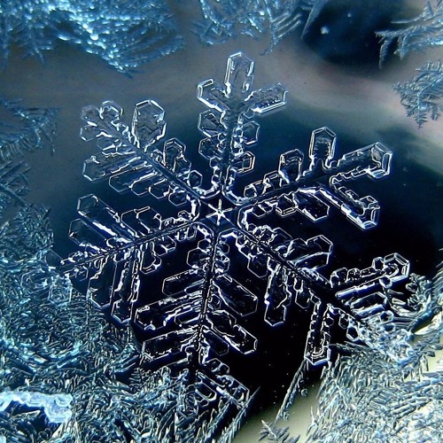 SubLOGIC&Modulär COLD