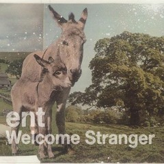Ent - Farewell Dear Stranger (JacM Remix)