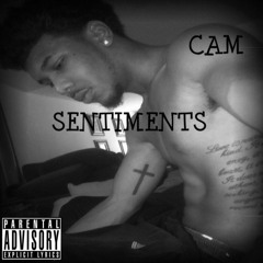 TMLS (Cover) By C.A.M