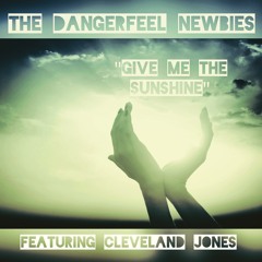 Give Me The Sunshine- The Dangerfeel Newbies