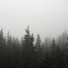 DontBeScaredToFlyBabyBird