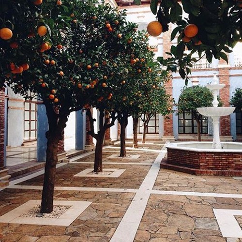 Zain Alawtan Play Ù…Ø³Ø±Ø­ÙŠØ© Ø²ÙŠÙ† Ø§Ù„Ø§ÙˆØ·Ø§Ù† By Fatten Zeny