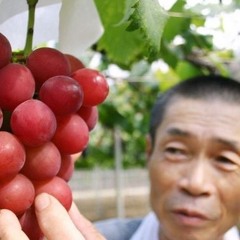 JAMELGO - RUBY ROMAN (PROD. APA BEATS)