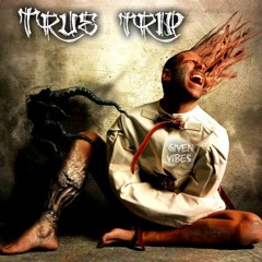 Given Vibes - True Trip