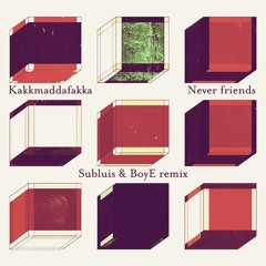 Never Friends - Kakkmaddafakka (Subluis & BoyE Remix)
