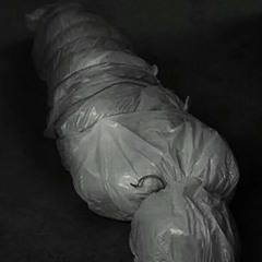 DiNERO Ft MiGORIKO- Body's