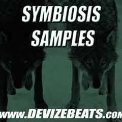 SYMBIOSIS SAMPLES - DEMO - NOW $10!!! 270 GRIMEY WAV SAMPLES! TO PURCHASE CLICK THE BUY OPTION BELOW
