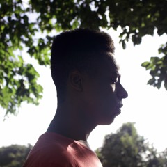 Bface - Polar Dynamic (DEMO 2010)