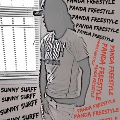 Panda Remix (Freestyle)