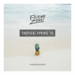 Friendzone's Tropical Spring '16