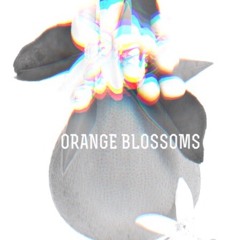 Orange Blossoms