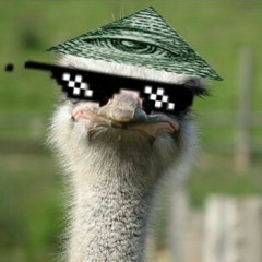 FaZe Bloo- Do you want to hit a billcam