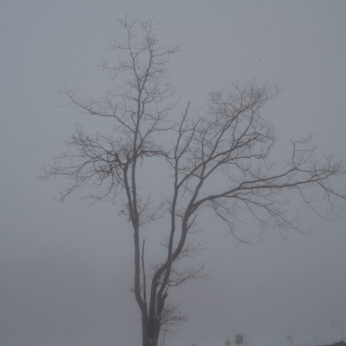 The Fall and the Fold (instrumental)