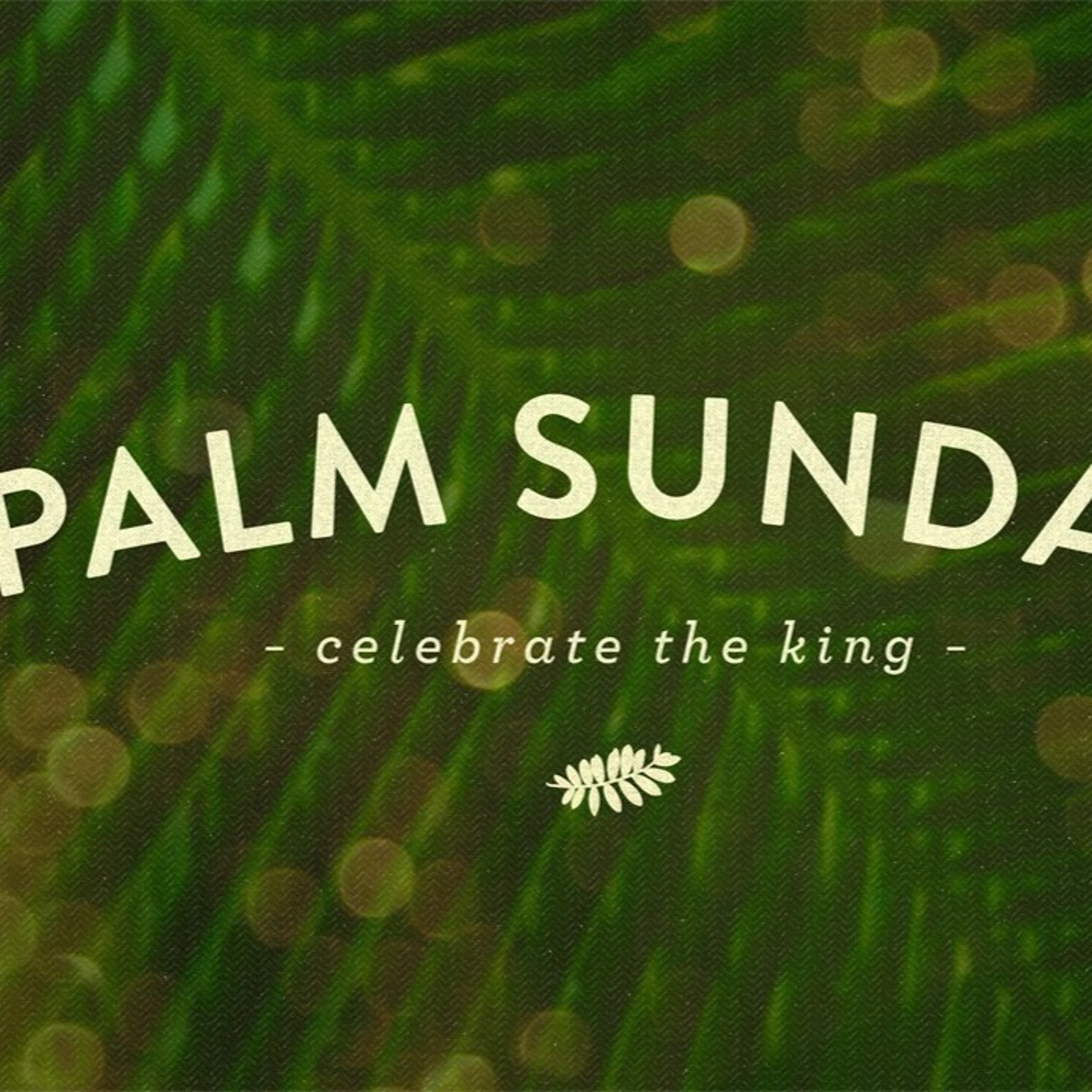 3 - 20 - 16  Palm Sunday to the Cross episode artwork