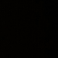 TyDolla$ign-AnythingGoes