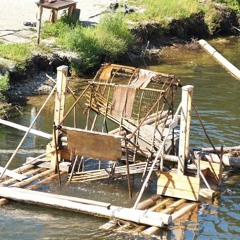 Trap house stonefish