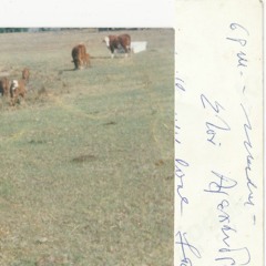 Freestyle... snipe em like you Chris Kyle