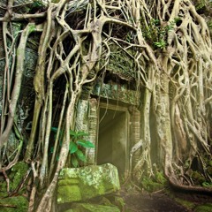 Sad & Rapha - Tempel Lounge (B2B)