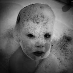 2016 - 03 - 22 SITTIN ON THE FENCE יושב על הגדר/שביר