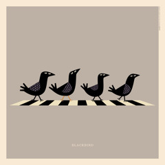 Blackbird - Beatles (cover)