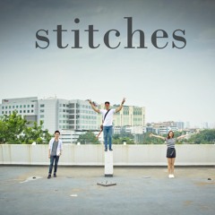 Shawn Mendes - Stitches (eclat cover)