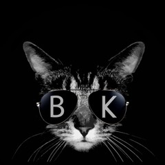 Black Kat Podcast008 With Peppelino ( WMC Miami Edition )