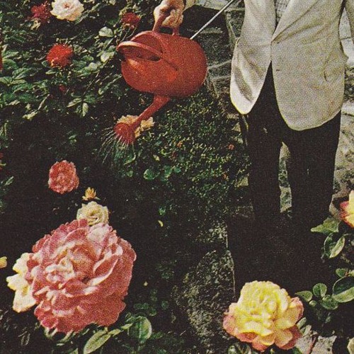 in the small minutes of morning(with coffee)