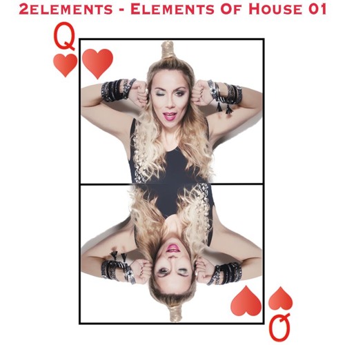 2elements - Elements Of House 01