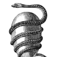 Unborn