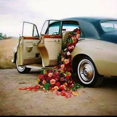 سحر ابوليل_نعنع يا نعنع_زناخة