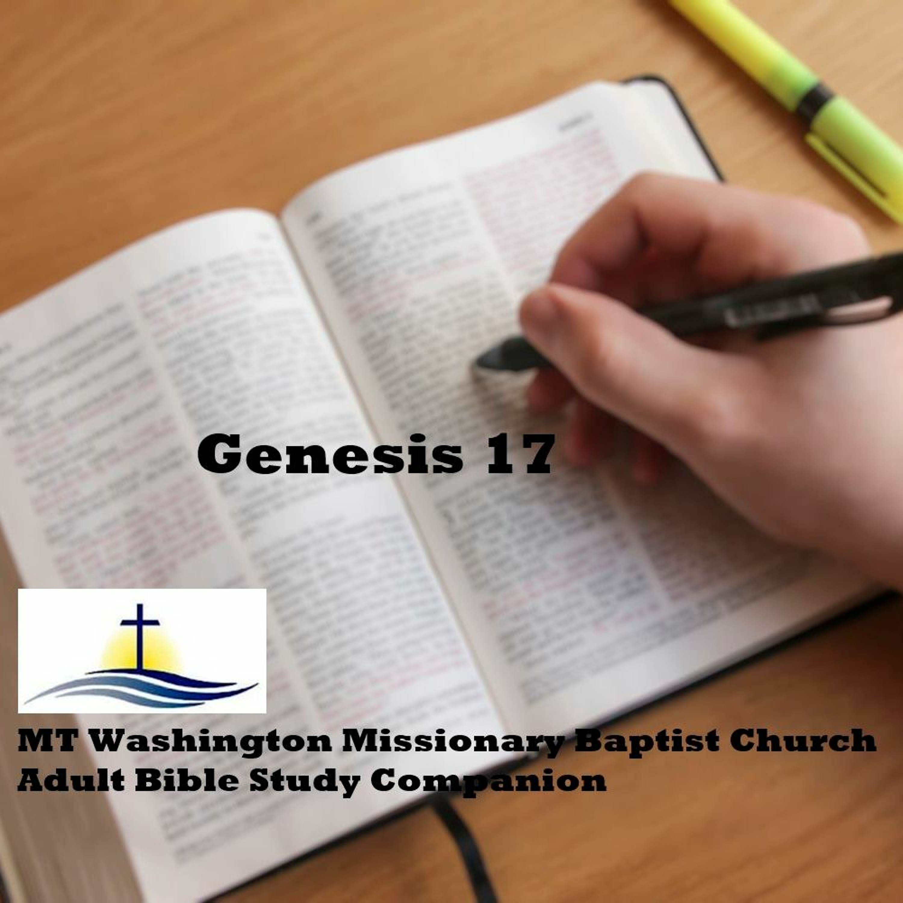Genesis 17 episode artwork
