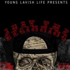 Vinny Bands- No hook