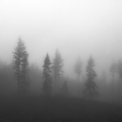 I Will Always Be With You