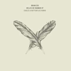 BRIAN CID - BELLES DU SHAMAN (ORIGINAL MIX) [microCastle] Out Now