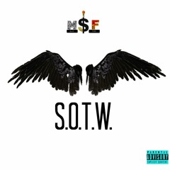 S O T W