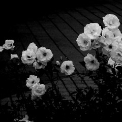 LIFELESS - Trap Instrumental Dark Beat
