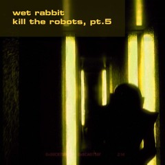 Kill The Robots, Pt.5