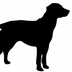 [Experimental / Cool] Kazam