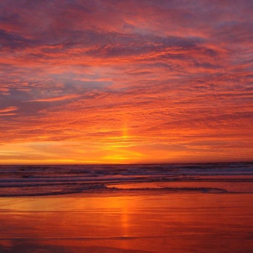 Adam Firegate - Sabadna Solnom