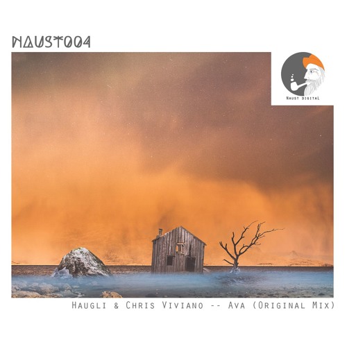 Stream Haugli Chris Viviano Ava Snippet Naust Digital By Naust 