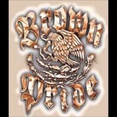 VARRIO BROWN PRIDE CATORCE ~ GANG WORLD BLOG PT 2