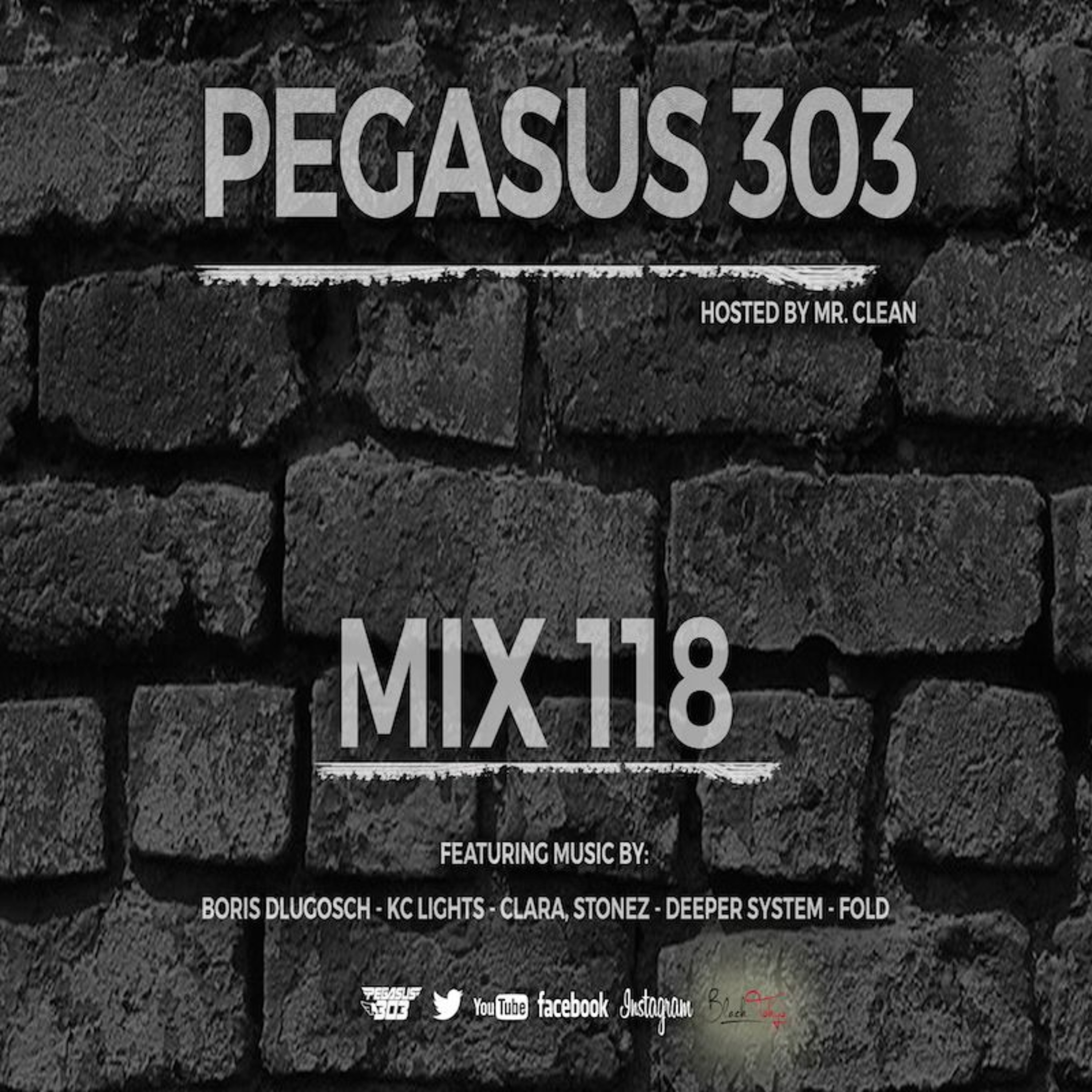 Pegasus 303 (mrclean)