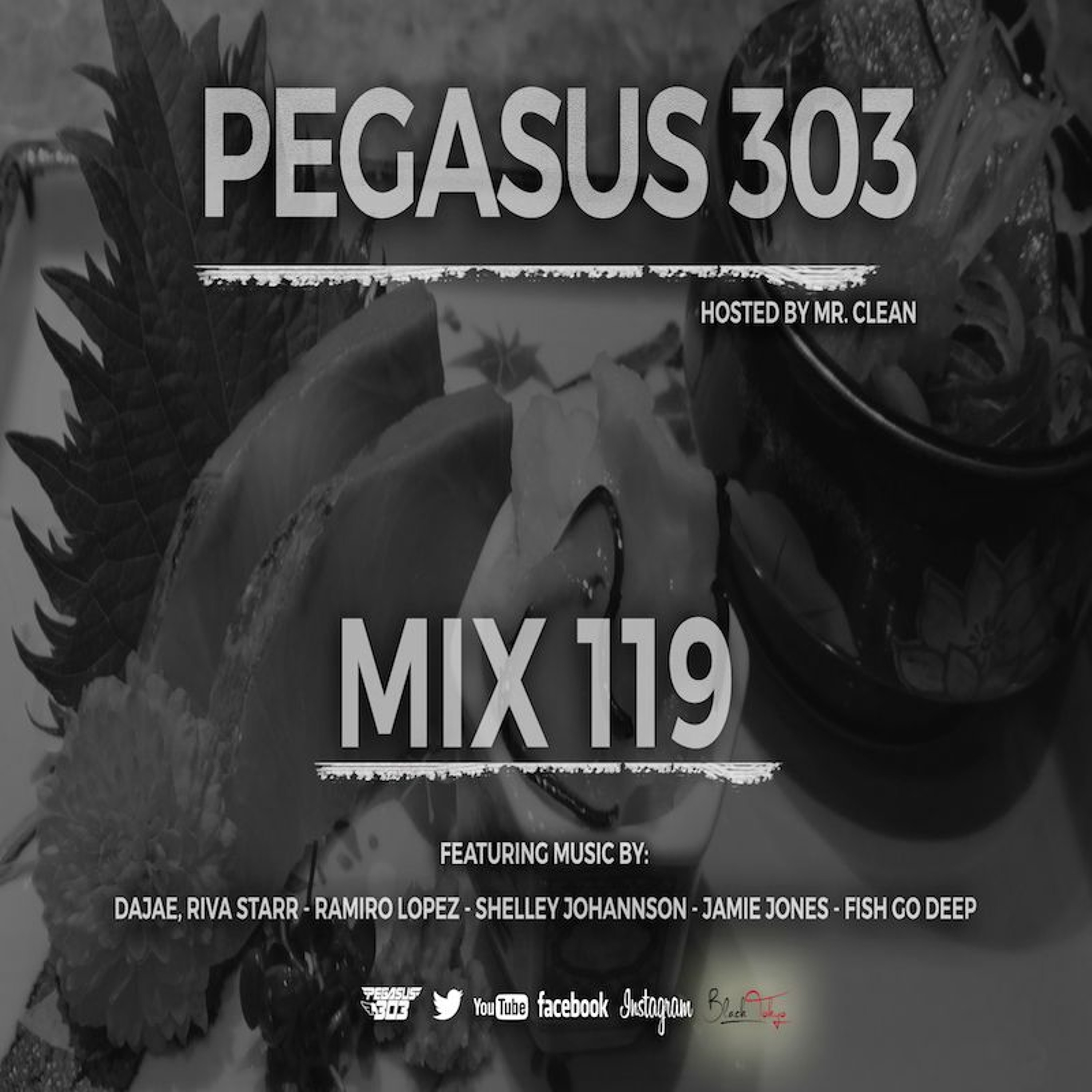 Pegasus 303 (mrclean)