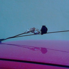 Intonandomi Live 19-3-16