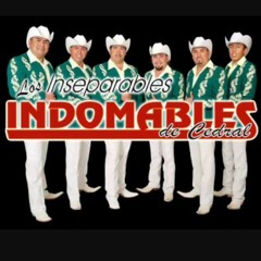 Bailando norteño - Los Indomables de cedral