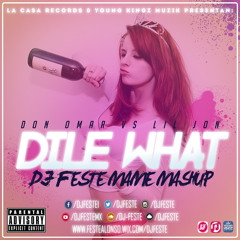 Don Omar vs. DJ Snake Ft. Lil Jon - Dile What (DJ Feste Mame Short Mashup)